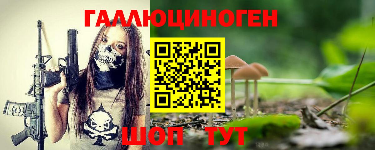 Псилоцибиновые грибы Cubensis Георгиевск