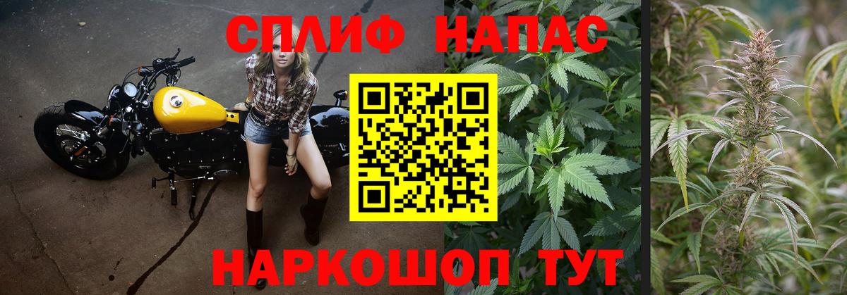 Шишки марихуана AK-47 Георгиевск